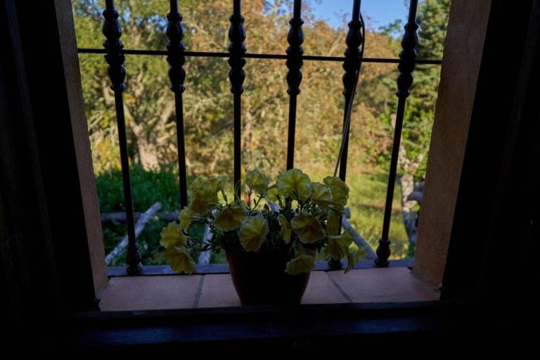 foto19