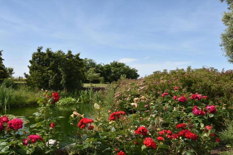 foto28