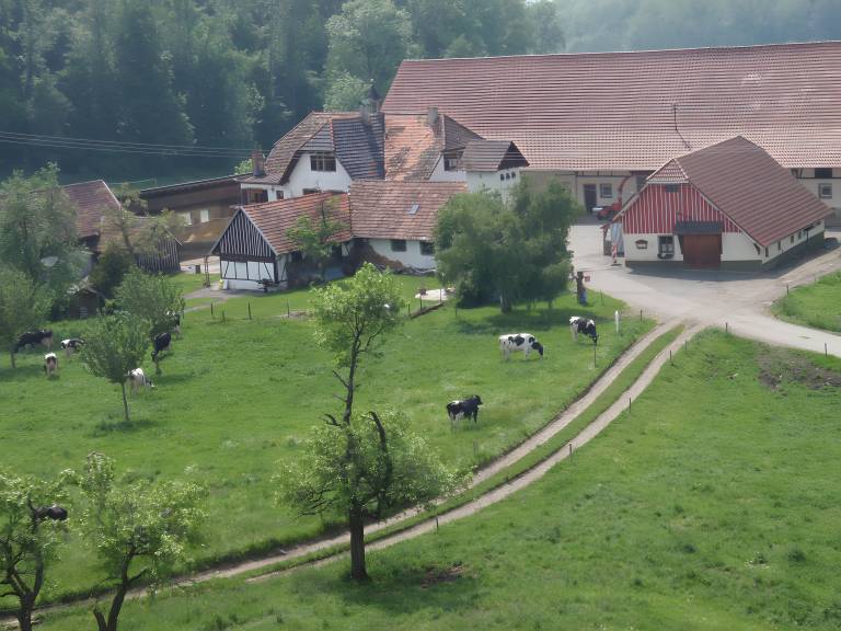 foto21