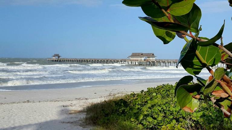 Condo Naples
