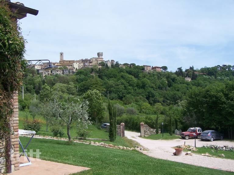 foto23