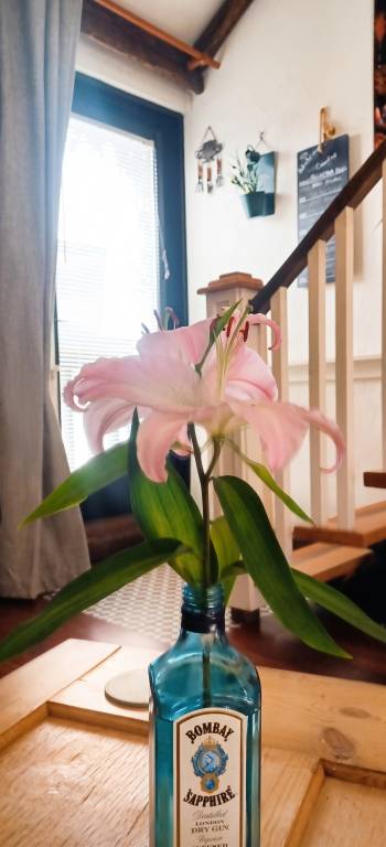 foto24