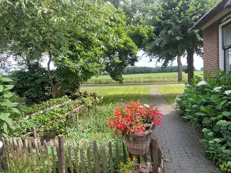 foto11