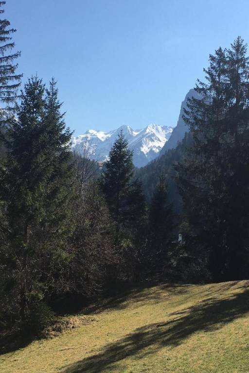 foto11