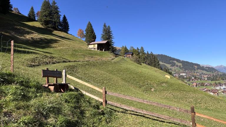 foto17