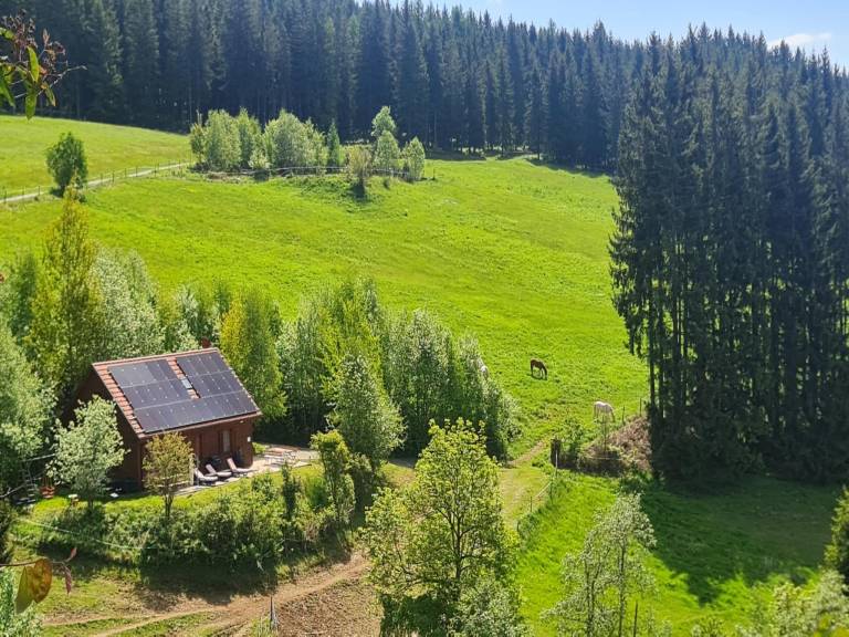 foto12