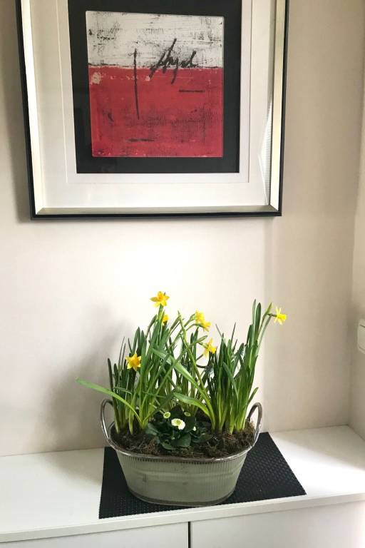 foto11