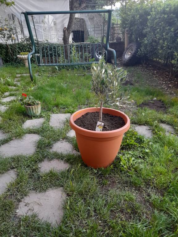 foto29