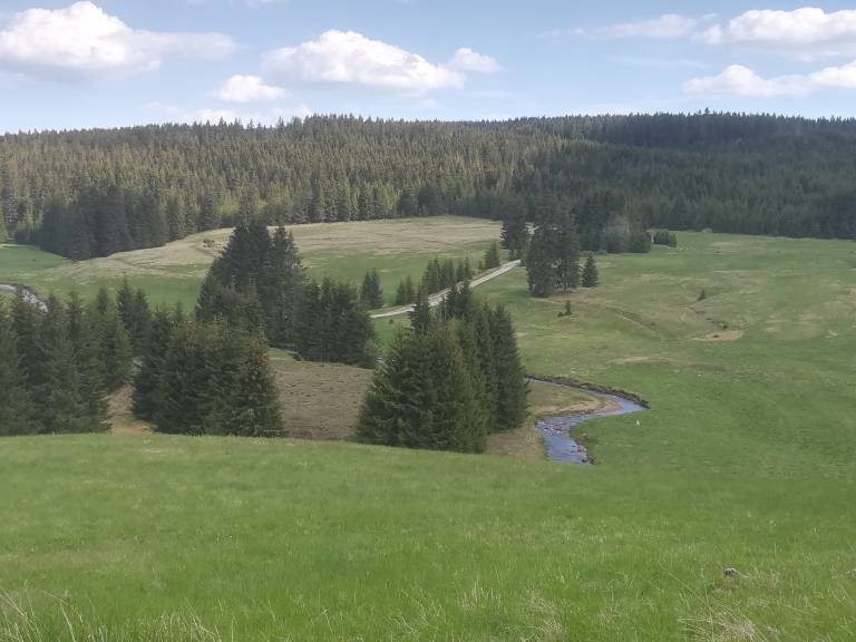 foto20