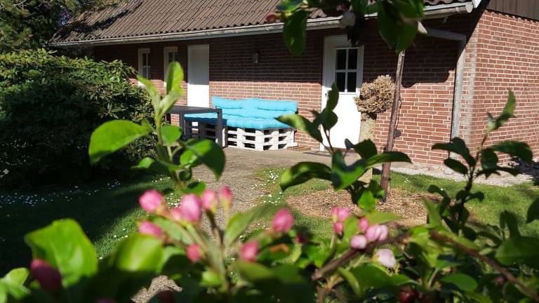 foto19