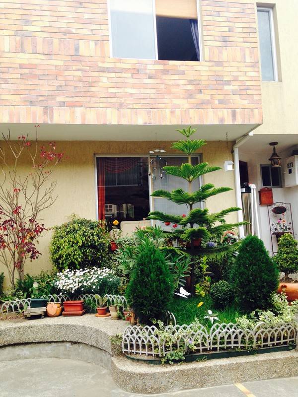 foto19