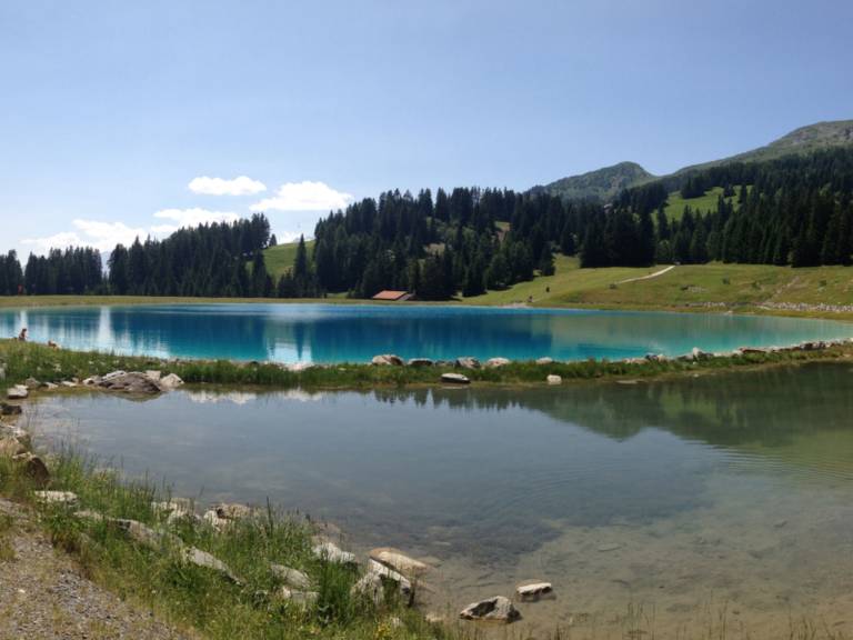 foto10