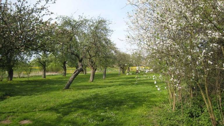 foto10