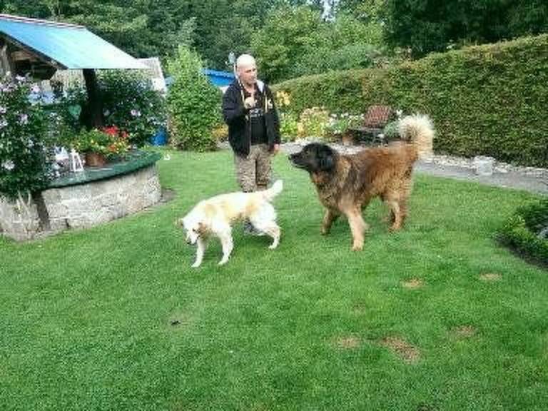 foto14