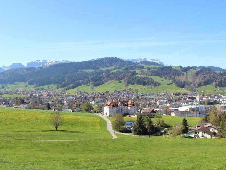 foto11