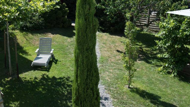 foto9