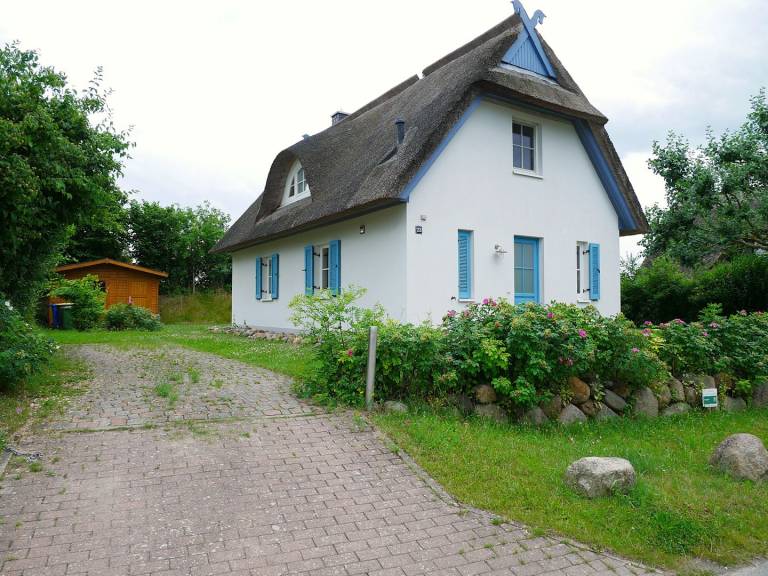 foto31