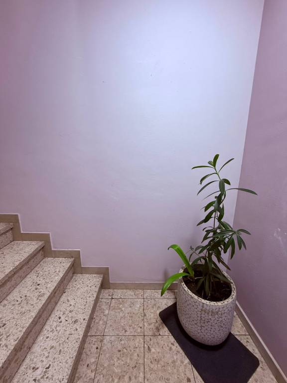 foto18