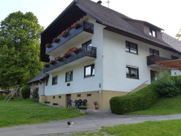 foto12