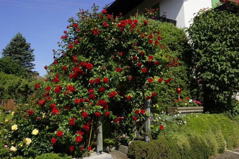 foto5