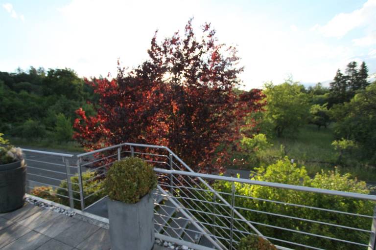 foto14