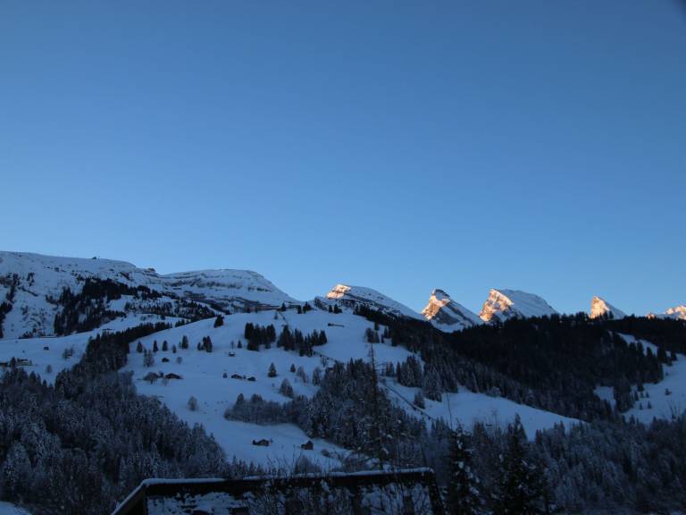 foto11