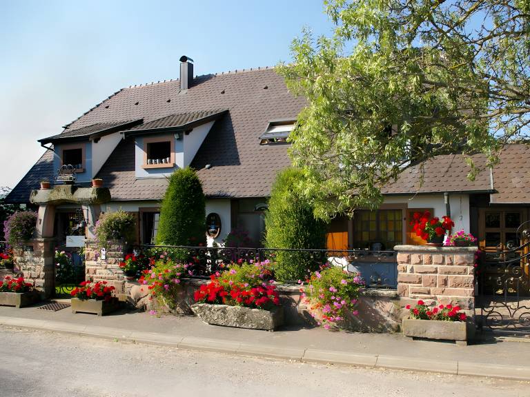 foto1