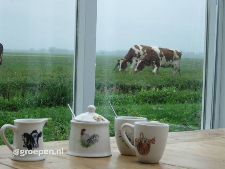 foto11