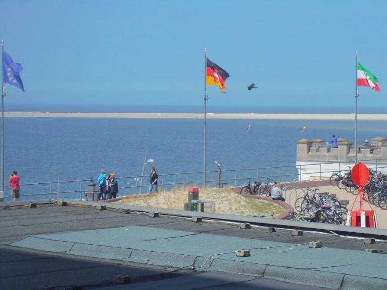foto2