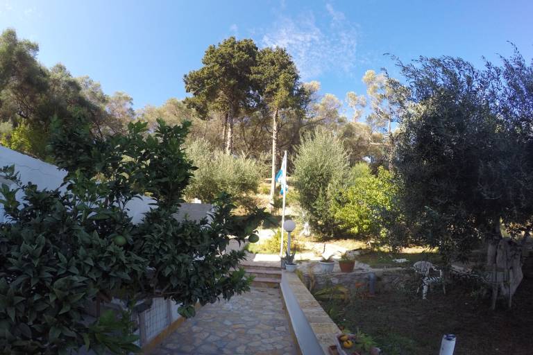 foto41