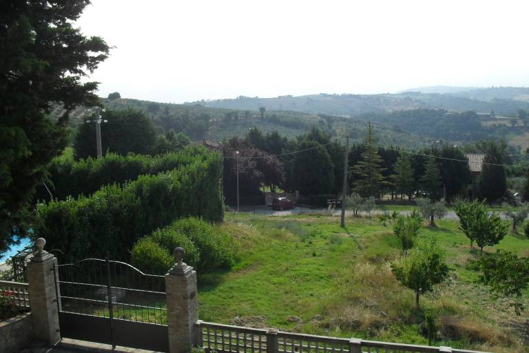 foto36