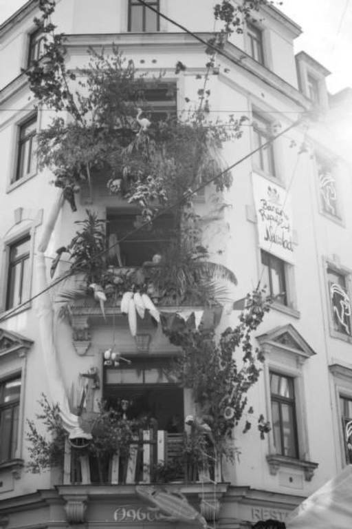 foto12