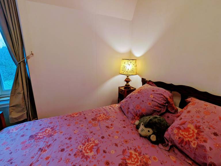 foto2