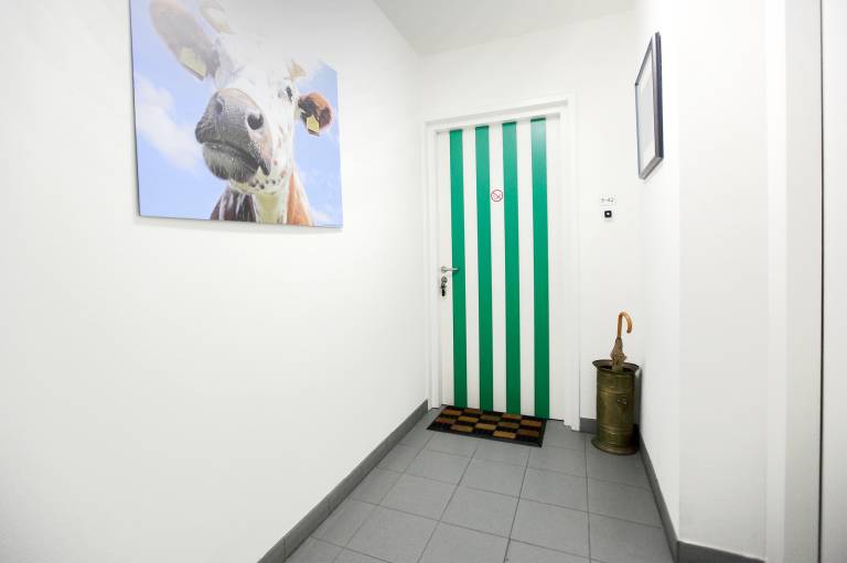 foto12