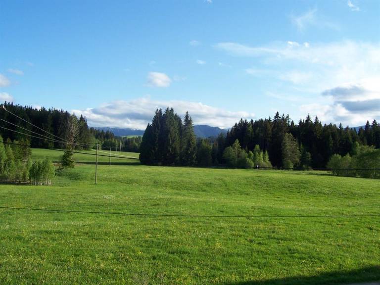 foto6