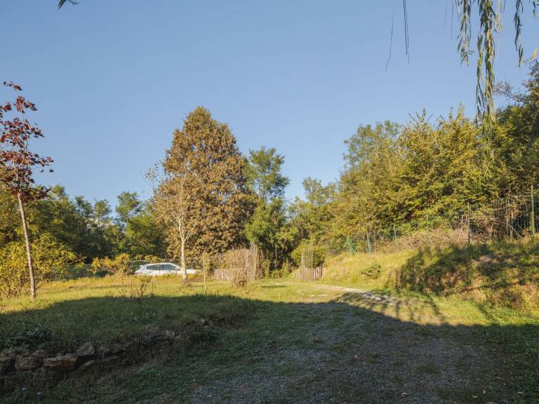 foto29
