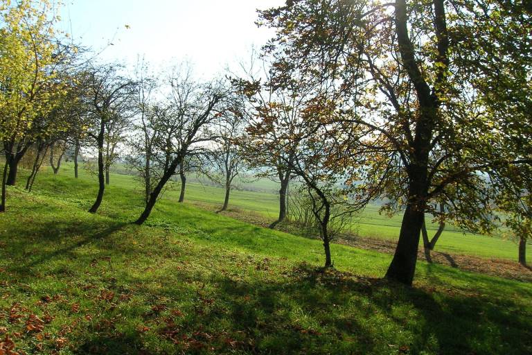foto18