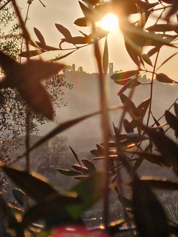 foto40