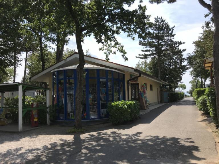 foto11