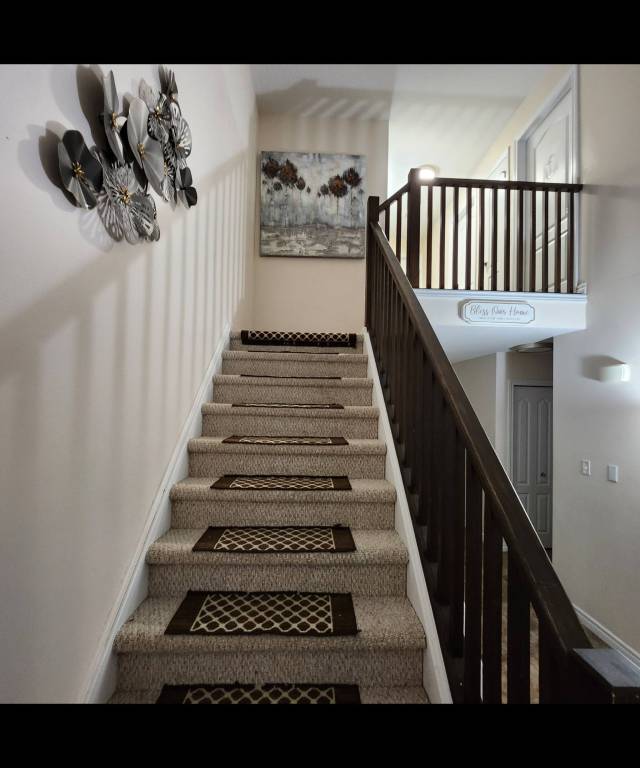 foto19