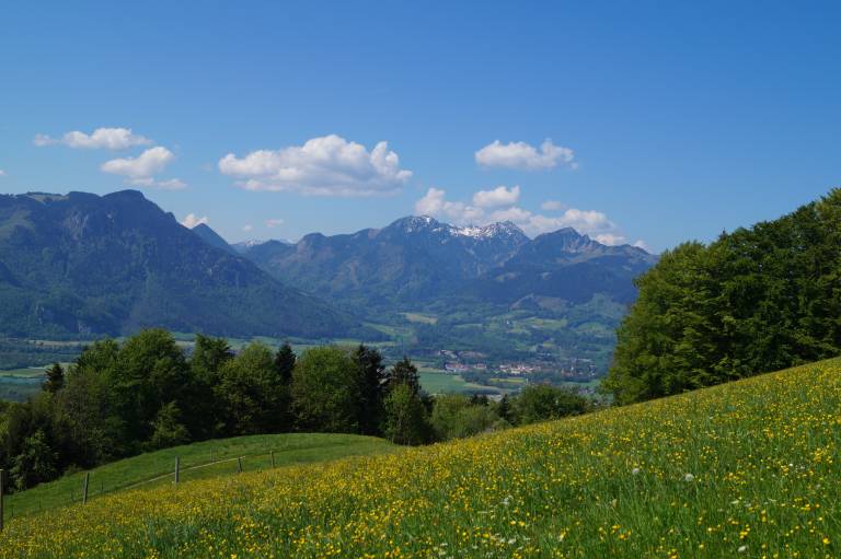 foto15