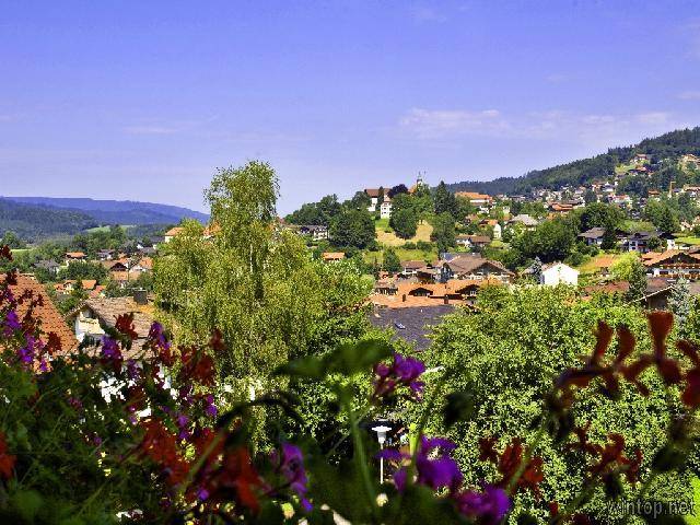 foto18