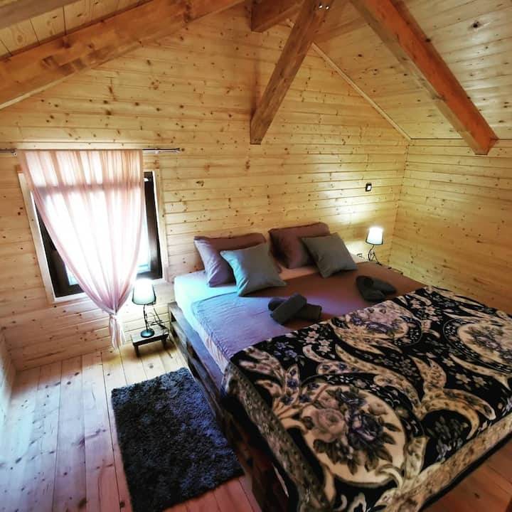 foto11