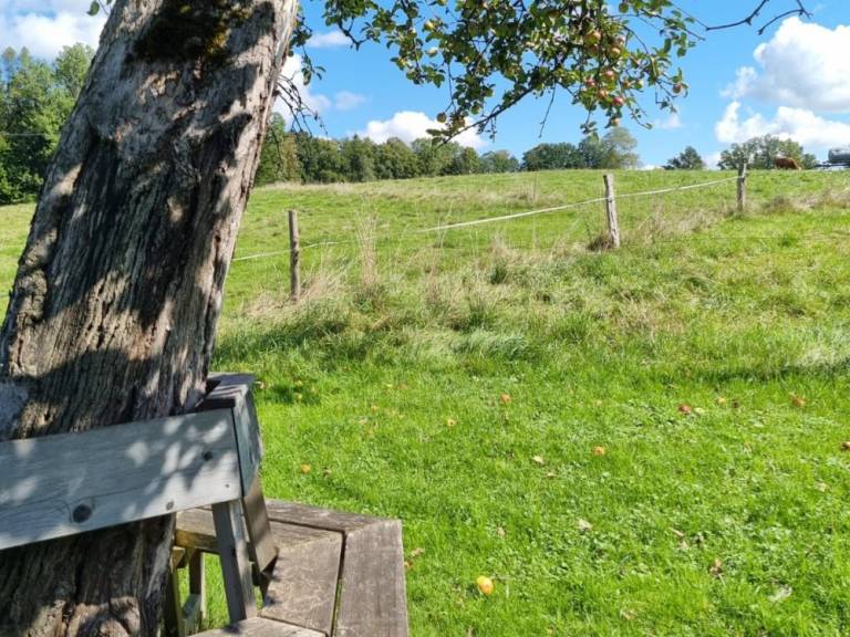 foto20