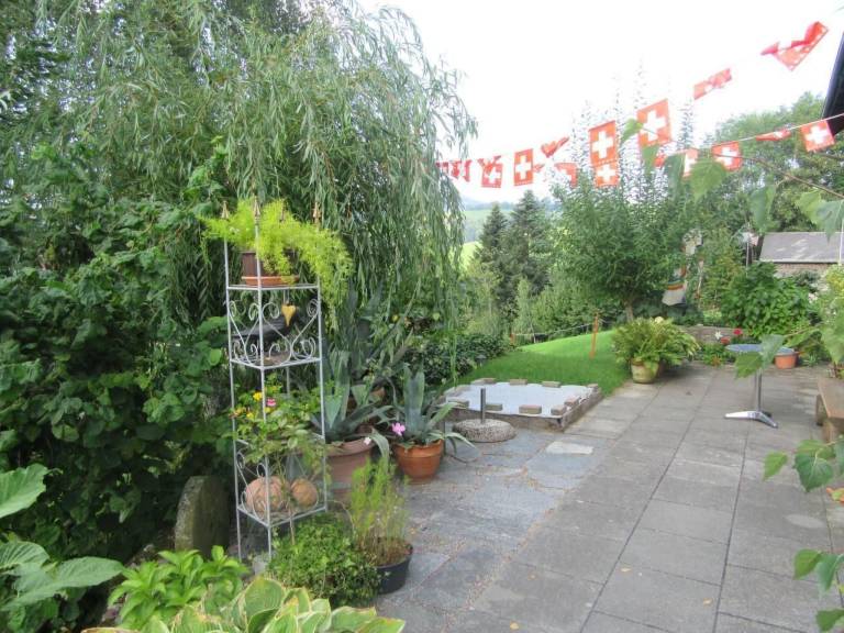 foto4