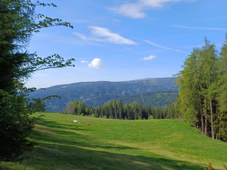 foto14