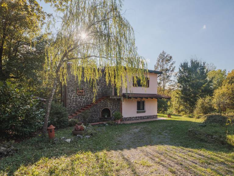 foto19