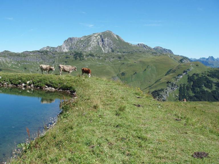 foto14