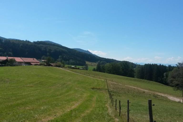 foto2