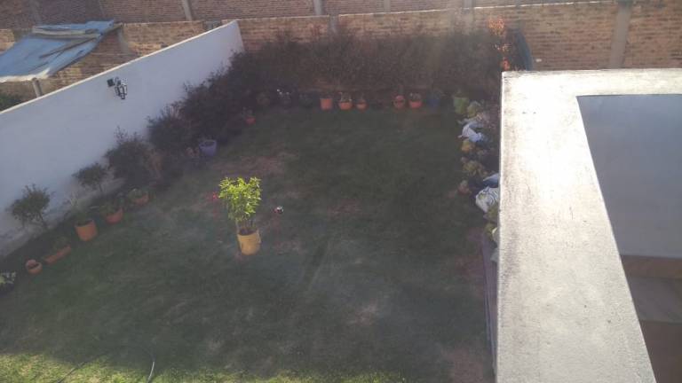 foto2